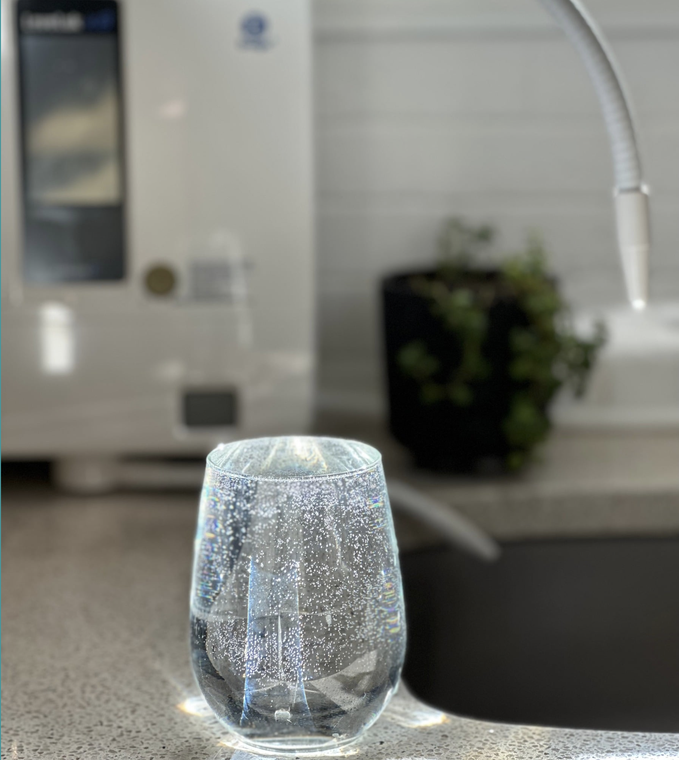Leveluk K8 water ionizer